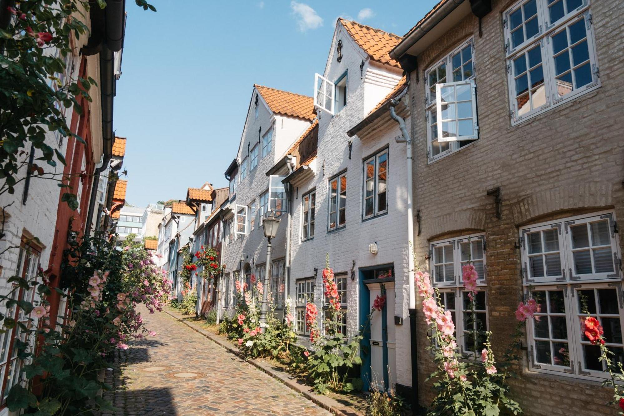 Grosses Apartment Mit 2 Balkonen Zentral Am Nordertor Flensburg Ngoại thất bức ảnh
