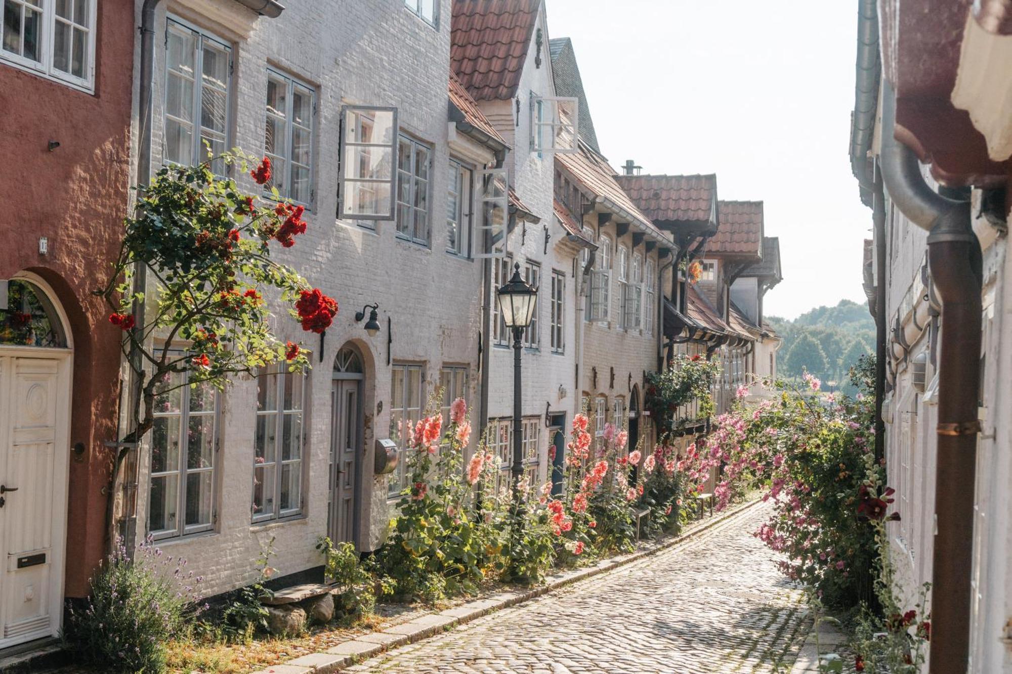 Grosses Apartment Mit 2 Balkonen Zentral Am Nordertor Flensburg Ngoại thất bức ảnh